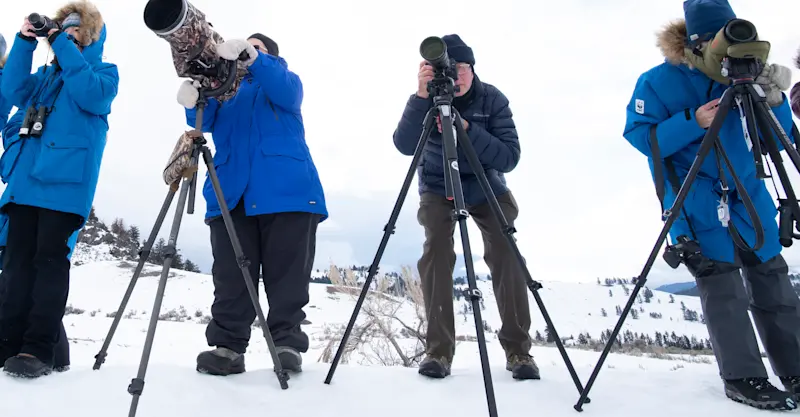 Nat Hab guests, Yellowstone National Park, Wyoming.
