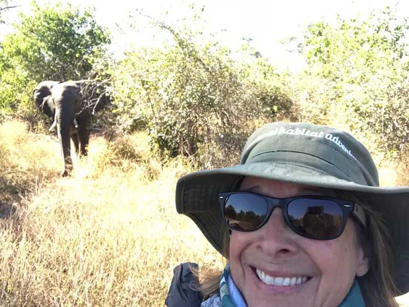 Elephant up close and personal in Botswana.