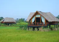Slideshow Thumbnail 2 of 13