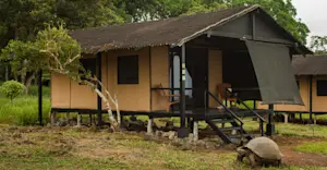Nat Hab's private Tortoise Camp, Santa Cruz Island, Galapagos.