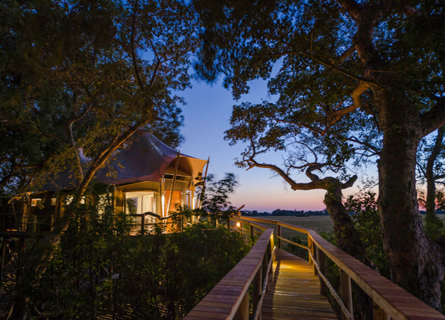 Kwetsani Camp Okavango Delta Botswana Africa