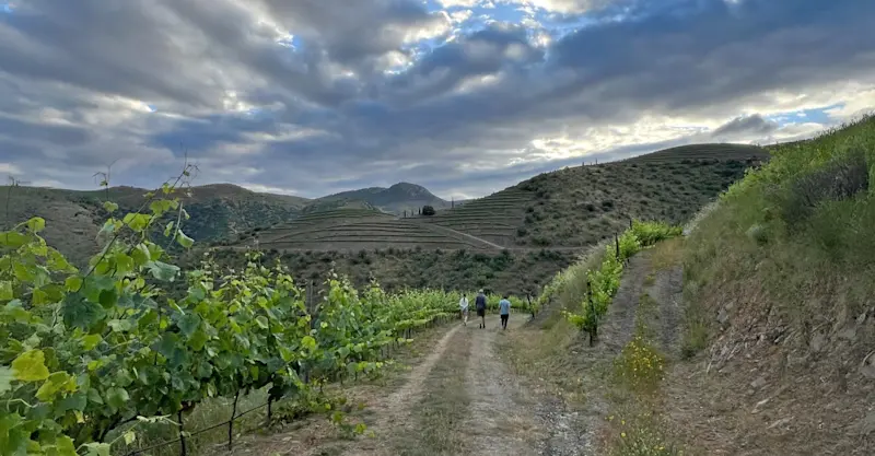 Guests, Foz Coa, Portugal.