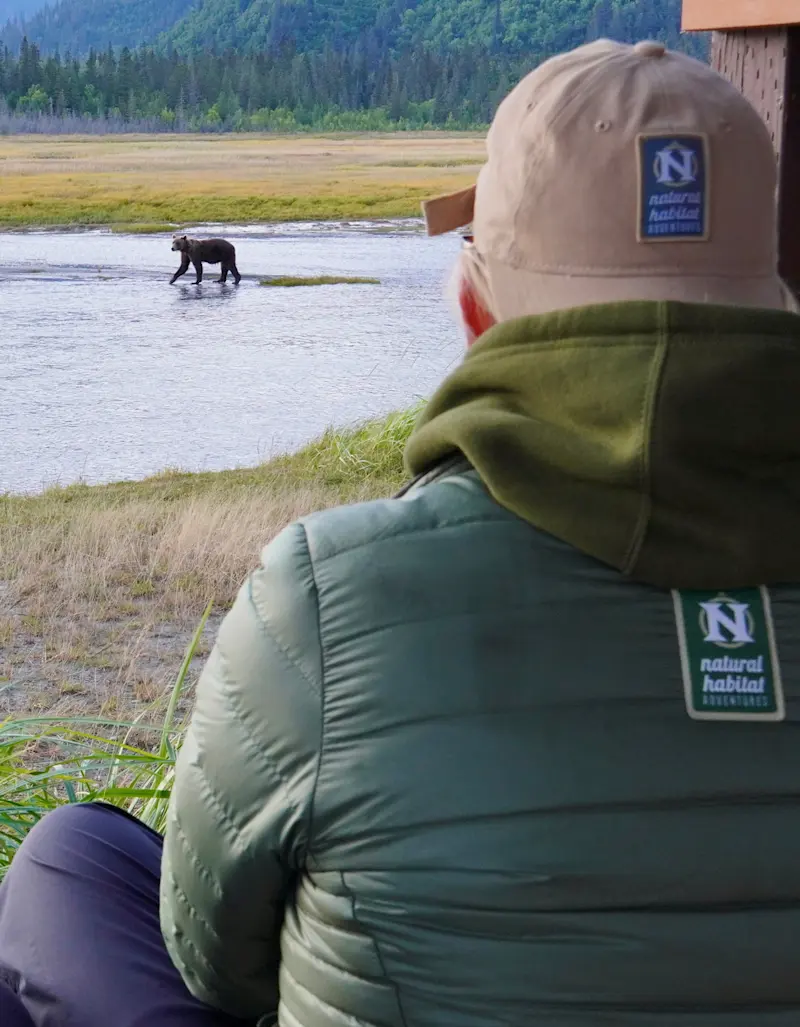 Visitor in Alaska Bear Camp. 