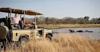 Hippos, Katavi National Park, Tanzania.