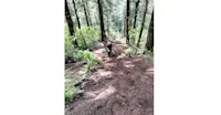 Slideshow Thumbnail 4 of 12