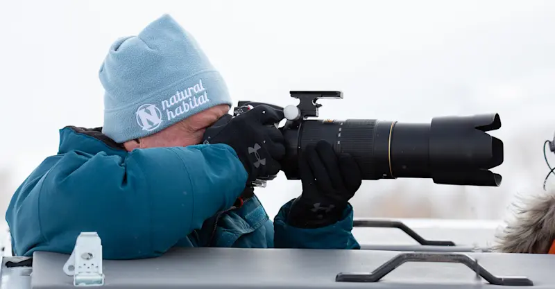 Nat Hab guest, Yellowstone National Park, Wyoming.