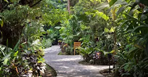 Walkway