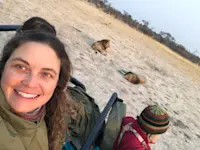 Napping lions in the Okavango Delta, Botswana.