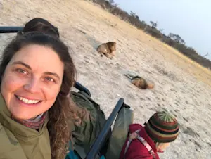 Napping lions in the Okavango Delta, Botswana.