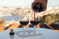 Wine tasting, Alentejo, Portugal.