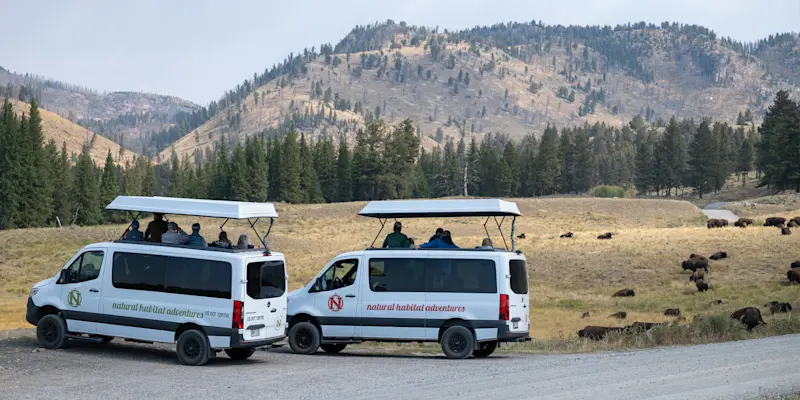 Nat Hab’s North America Safari Cruisers, Yellowstone National Park, Wyoming.