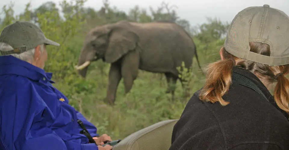 Elephant and Nat Hab guests, MalaMala Game Reserve, South Africa.