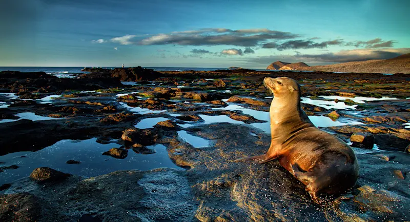 Slideshow Image