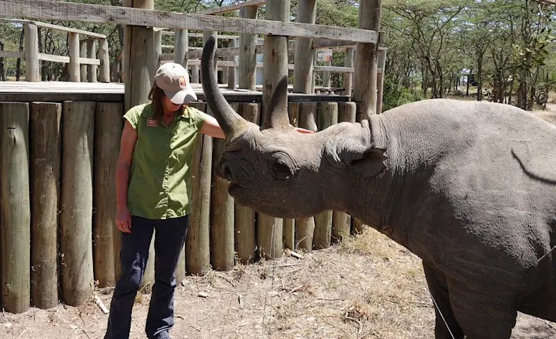 Meeting Baraka the sweet and blind ambassador rhino at Ole Pejeta, Kenya.