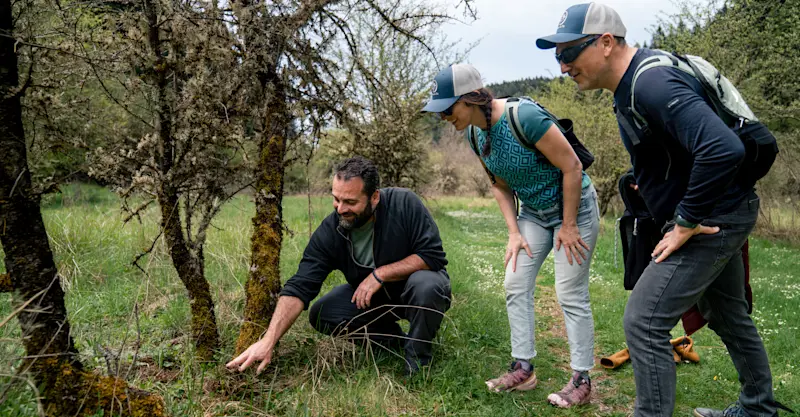 Truffle hunting experience, Arcadia, Greece