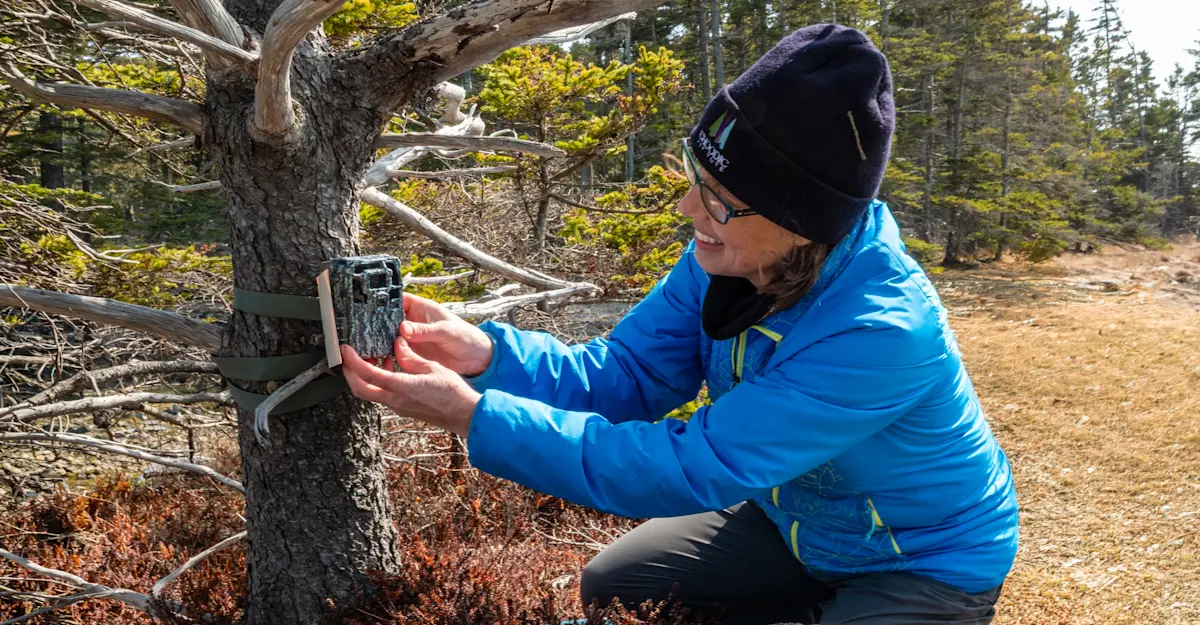 Earthwatch Expeditions Lead Scientist setting up a camera trap, Acadia National Park, Maine.