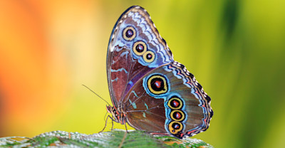 Why It Matters image