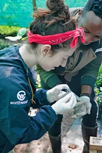 Processing seeds with sandpaper on an Earthwatch expedition in Kenya. 