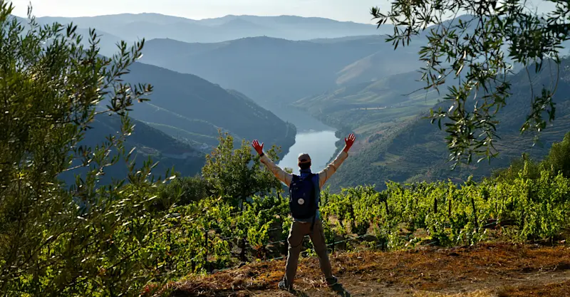 Nat Hab Expedition Leader, Douro Valley, Portugal.