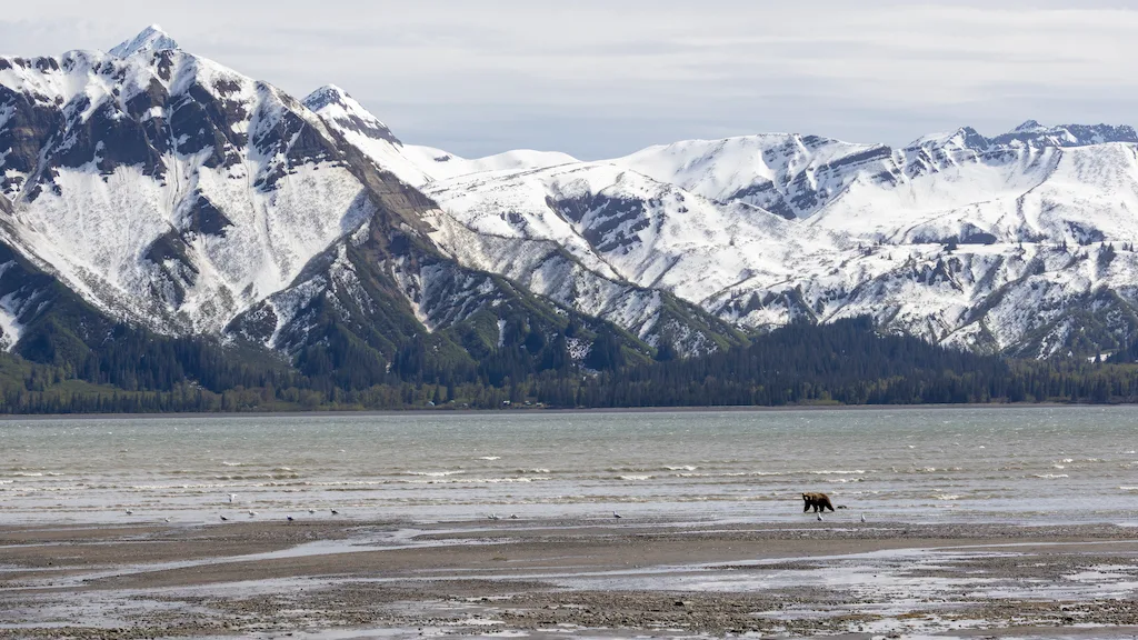 Beforeyougo|Alaska-North|Alaska|_08A2126