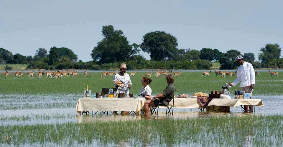 Nat Hab guests enjoy a bush lunch, Okavango Delta, Botswana.