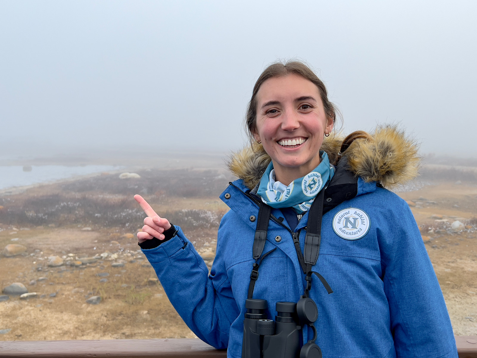 Viewing polar bears from the Polar Rover on the tundra in Churchill. 