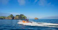 Earthwatch Expeditions crew searches for whales, Iceland.