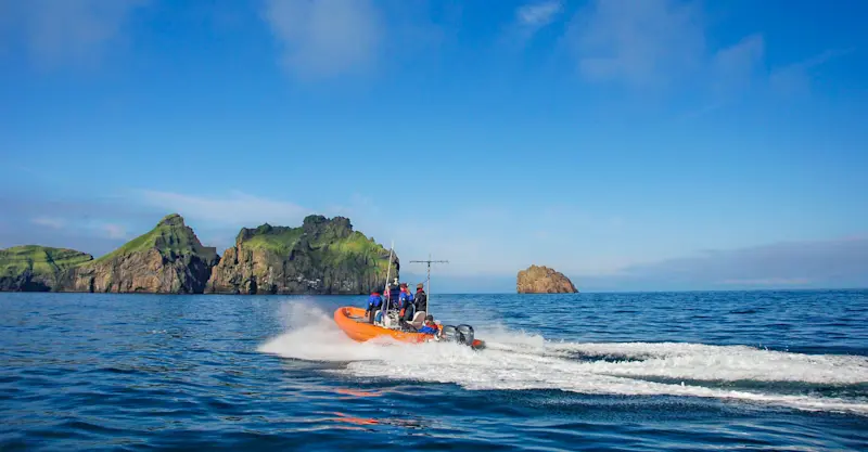 Earthwatch Expeditions crew searches for whales, Iceland.