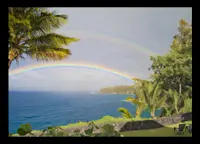Slideshow Thumbnail 3 of 12