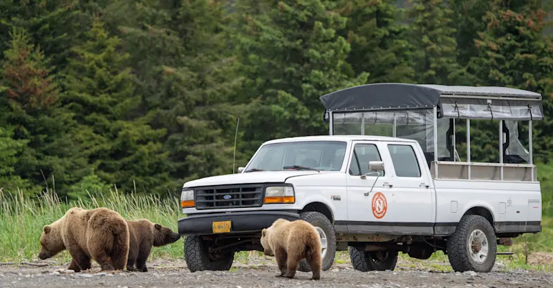 Nat Hab's Bear Mobile, Lake Clark National Park & Preserve, Alaska.