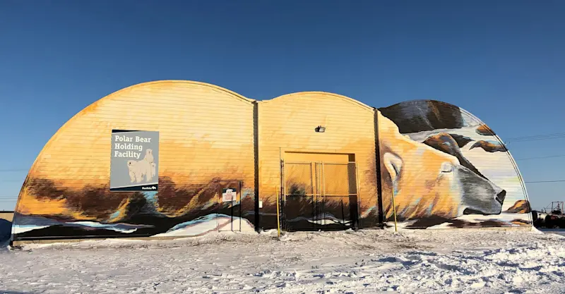 Polar Bear Holding Facility, Churchill, Manitoba.