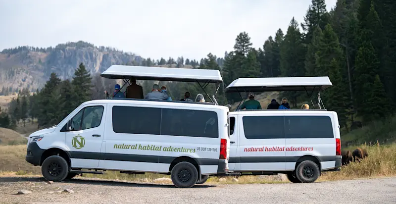 Nat Hab’s North America Safari Cruisers, Yellowstone National Park, Wyoming.