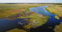 Ngwenya Channel, Zambia.