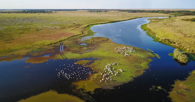 Ngwenya Channel, Zambia.