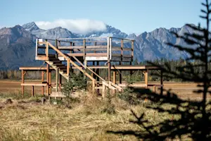 Viewing platform at Nat Hab's Alaska Bear Camp