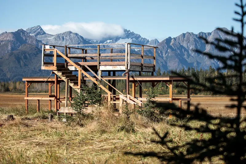 Viewing platform at Nat Hab's Alaska Bear Camp