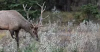 Slideshow Thumbnail 8 of 12