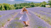 A lavender field in full bloom near our favorite of the French Provencal villages,  Saignon.