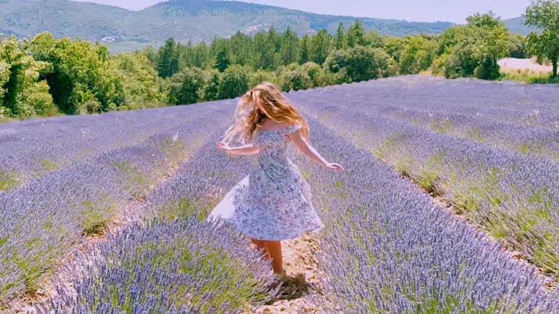A lavender field in full bloom near our favorite of the French Provencal villages,  Saignon.