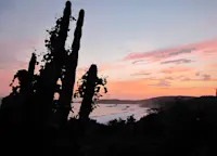 Slideshow Thumbnail 4 of 4