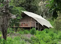 Slideshow Thumbnail 3 of 12