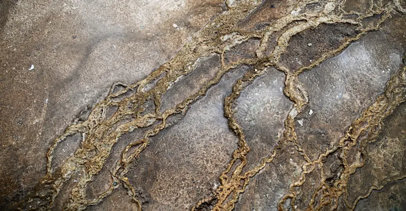 Thermal feature reflections, Yellowstone National Park