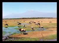 Slideshow Thumbnail 2 of 4