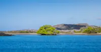 Baroness viewpoint, Floreana
