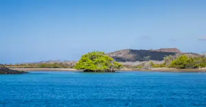 Baroness viewpoint, Floreana