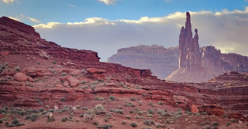 Colorado National Monument, Colorado.