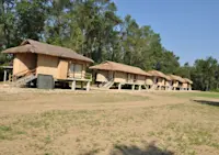 Slideshow Thumbnail 2 of 6