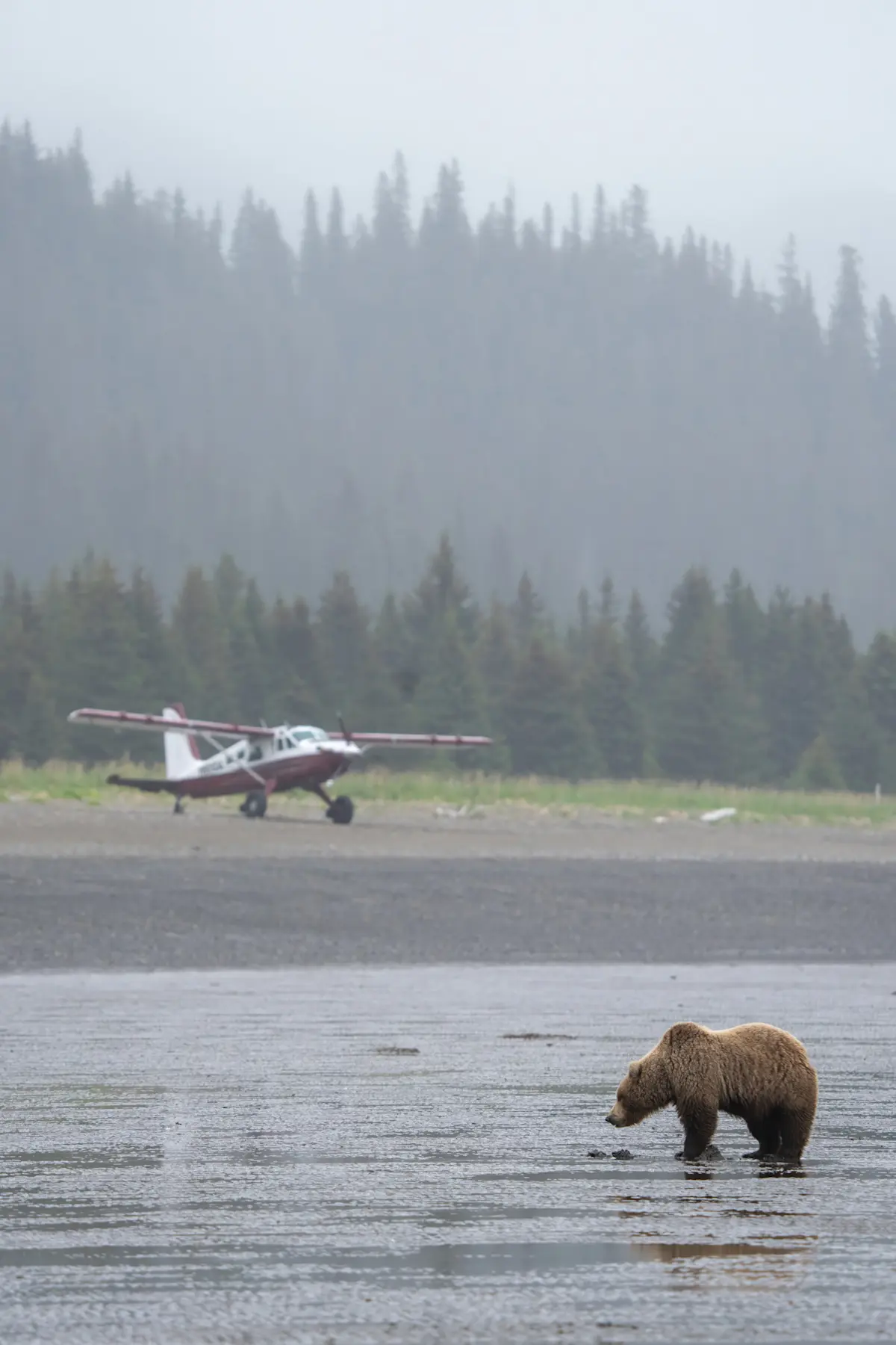 Nat Hab's private fly-in Alaska Bear Camp, Lake Clark National Park, Alaska.