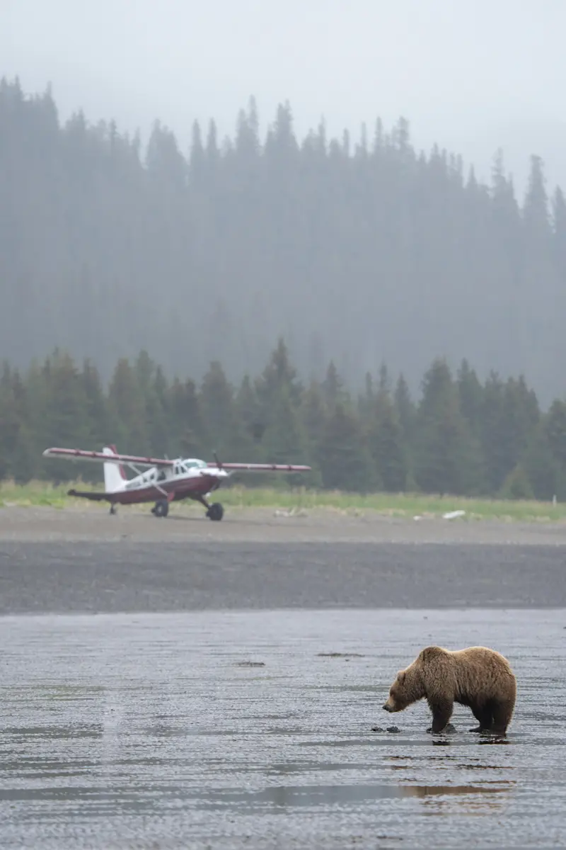 Nat Hab's private fly-in Alaska Bear Camp, Lake Clark National Park, Alaska.