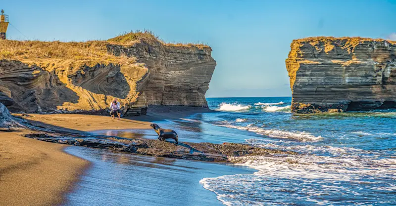Guest photographing Galapagos sea lion, Galapagos Islands, Ecuador.